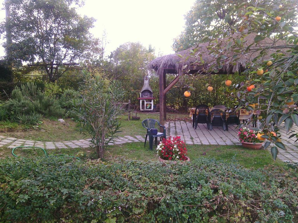 Agriturismo Artisti Del Cavallo Arezzo Eksteriør bilde