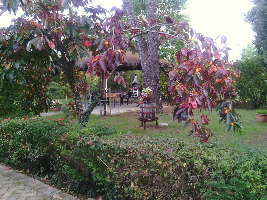 Agriturismo Artisti Del Cavallo Arezzo Eksteriør bilde